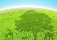 绿色、生命和水图片