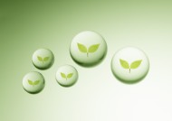 绿色、生命和水图片