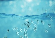 绿色、生命和水图片