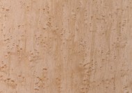 树木粗糙纹理图片