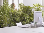 绿色环保工作空间图片