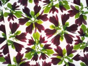 万花筒花卉底纹图片