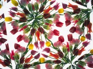 万花筒花卉底纹图片