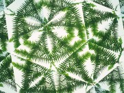 万花筒花卉底纹图片