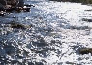 珍惜水资源图片