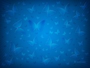 Vladstudio设计图片