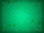 Vladstudio设计图片