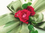 礼品包装彩带蝴蝶结图片素材