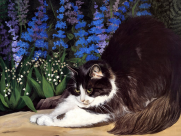 手绘猫咪可爱图片