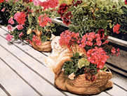 手绘猫咪可爱图片