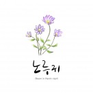 花草素描图片大全