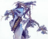 古树奇石水墨图片