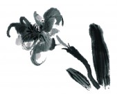 水墨花卉图片