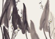 国画梅花图片大全