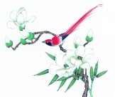 工笔花鸟图片