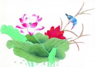 工笔花鸟图片