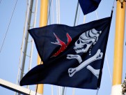 海盗旗图片大全