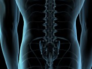 人体x光片图片大全