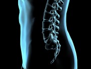 人体x光片图片大全