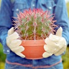 生活物品防护措施图片