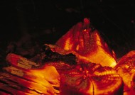 燃烧中的木块图片大全