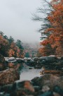 唯美的秋季树林风景图片大全