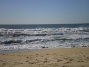 美丽的海滩的图片