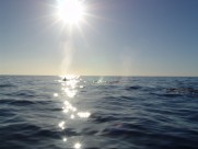 湛蓝的大海图片大全