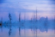 冰天雪地的自然风景图片