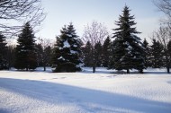 冬天的雪景图片