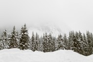 冬天的雪景图片