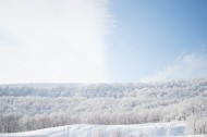 冬天的雪景图片