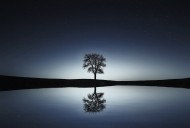 唯美自然风景图片