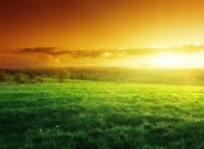 美丽的花海稻田图片