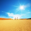 荒芜的沙漠图片