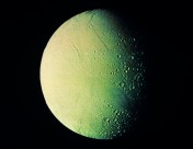 奇妙的星球图片