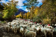 山里的秋色风景图片