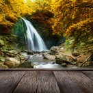 林中木桥边溪流景色图片