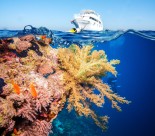 海底风景图片大全