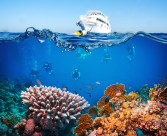 海底风景图片大全