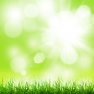 春天草地景色图片