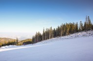 大自然的雪图片