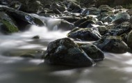 淙淙流水风景图片