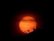 唯美的日出风景图片