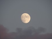 朦胧的月亮图片