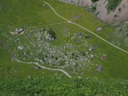 山上的小屋图片