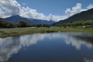 尼洋河风景图片