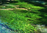 清澈水底图片大全