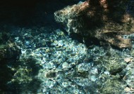 清澈水底图片大全