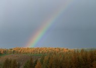 美丽彩虹图片